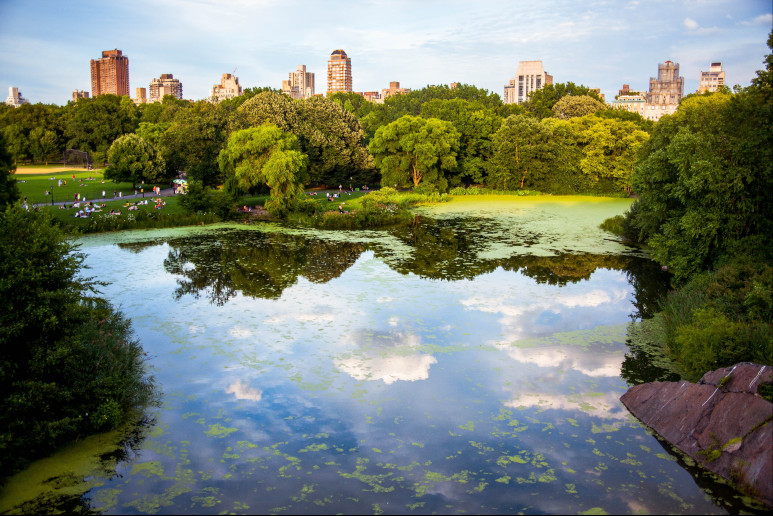 New York City Central Park Lake Pic